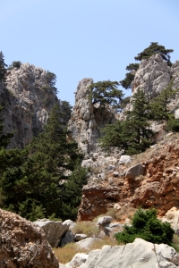 Rock pinnacles and bonzai pine trees add drama 