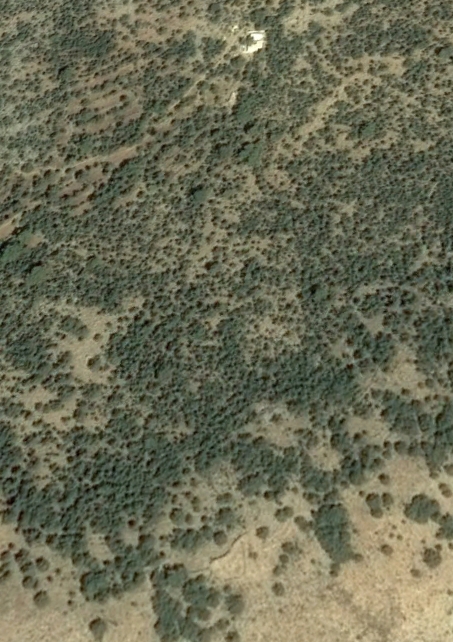 Satellite image from Google Earth with the walls of the settlement enclosure bottom centre, the monastery top right and terraced fields visible to the left of that