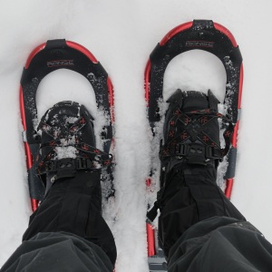 New snowshoes, off to look for deep snow
