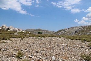At the edge of the largest of the bare patches